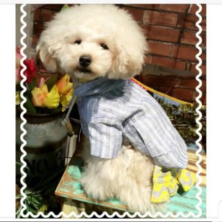 アズノウアズ(AS KNOW AS)の（半値以下)  アズノウアズデワン  犬服・ママとお揃い セット(犬)