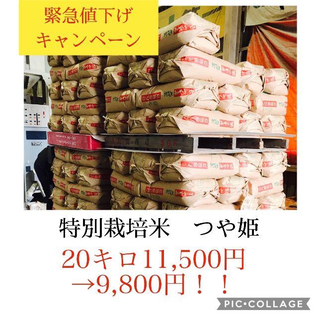 日本製 緊急値下げセール！！光り輝く大粒米✼宮城県特別栽培つや姫20キロ 米/穀物