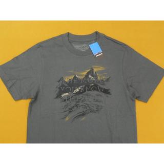 パタゴニア(patagonia)のパタゴニア Mountains T-Shirt XS FGE コットン100％(Tシャツ/カットソー(半袖/袖なし))