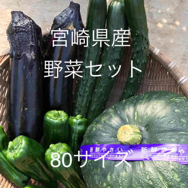 宮崎県産 野菜セット 食品/飲料/酒の食品(野菜)の商品写真
