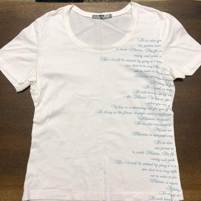 ラメTシャツ レディースのトップス(Tシャツ(半袖/袖なし))の商品写真