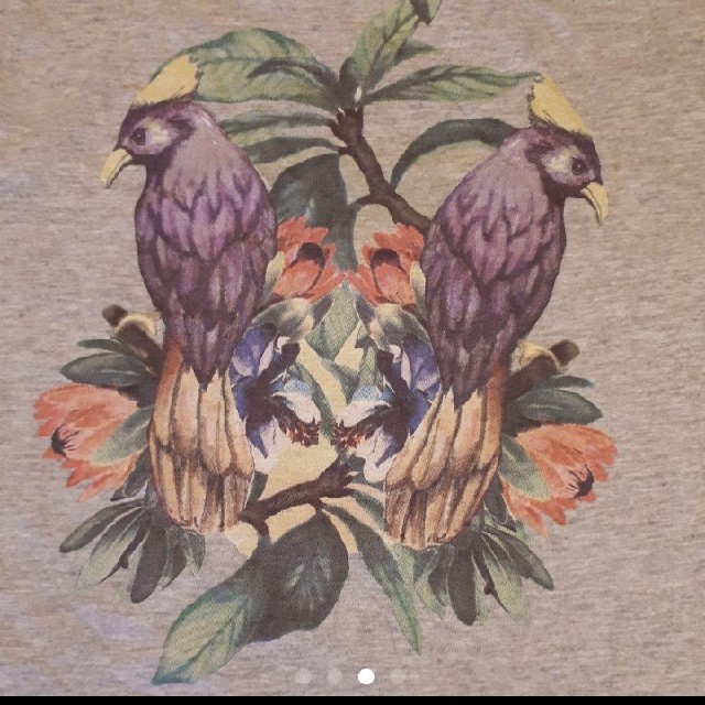 GU(ジーユー)のGU　ボタニカル　鳥　プリント　ノースリーブ レディースのトップス(カットソー(半袖/袖なし))の商品写真