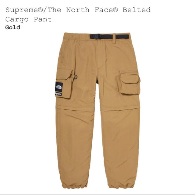 Supreme North Face Belted Cargo Pant