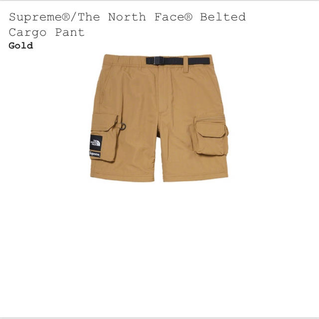 Supreme North Face Belted Cargo Pant 1
