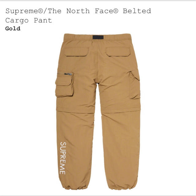 Supreme North Face Belted Cargo Pant 2