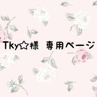Tky☆様 専用ページ(その他)
