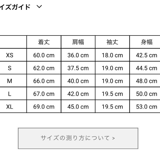 DIESEL(ディーゼル)のいーさま専用 レディースのトップス(Tシャツ(半袖/袖なし))の商品写真