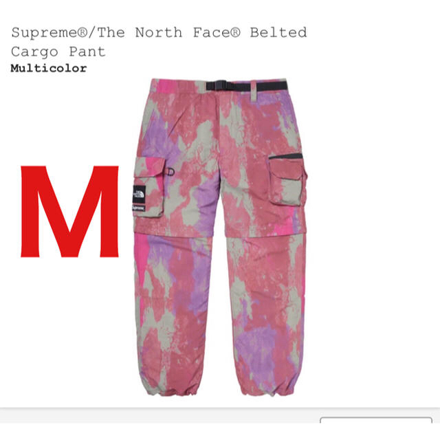 Supreme(シュプリーム)のsupreme the north face belted cargo pant メンズのパンツ(ワークパンツ/カーゴパンツ)の商品写真