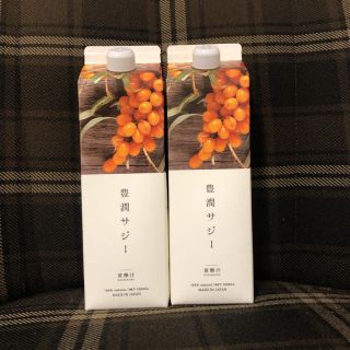 未開封　2本セット　豊潤サジー　1000ml (その他)