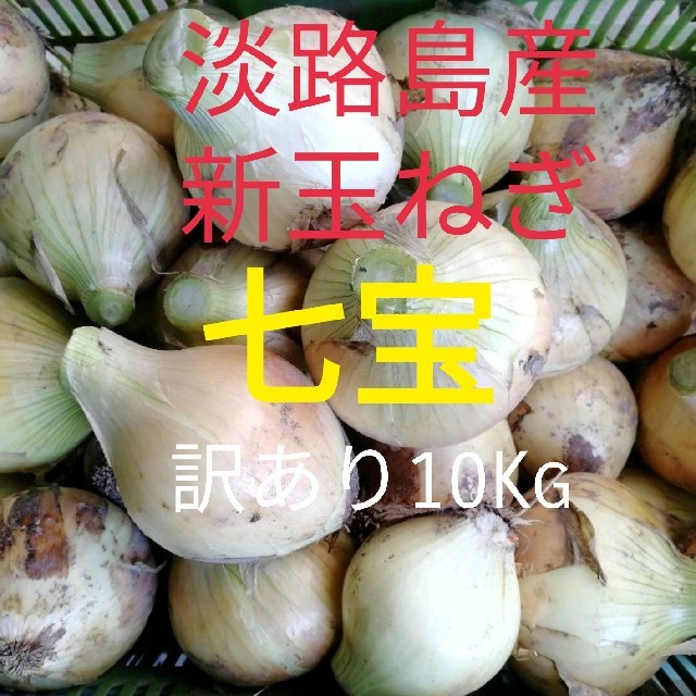 七宝★訳あり10Kg★淡路島　新玉ねぎ　玉葱　たまねぎ 食品/飲料/酒の食品(野菜)の商品写真