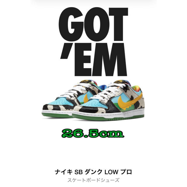 NIKE(ナイキ)のNIKE SB DUNK LOW Ben&Jerry's  26.5  メンズの靴/シューズ(スニーカー)の商品写真