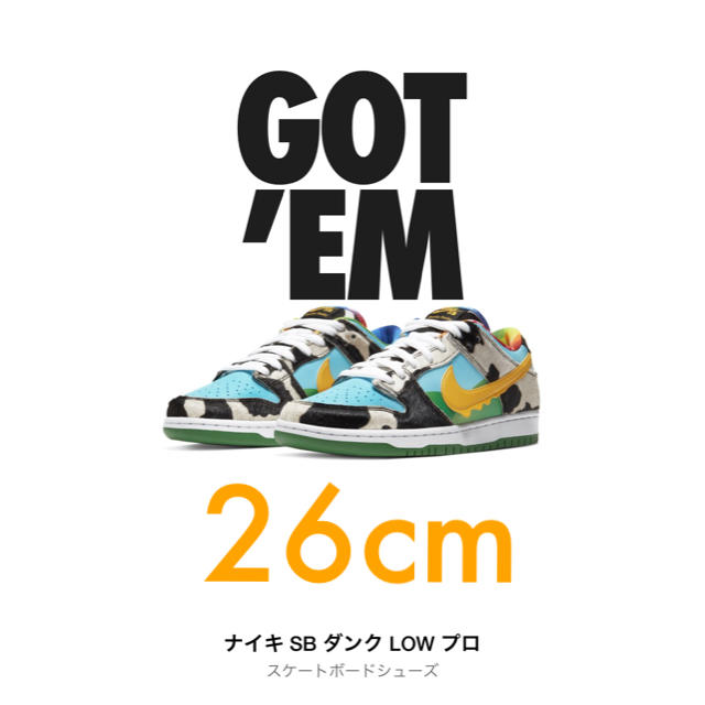 靴/シューズBEN&JERRY’S × NIKE SB DUNK LOW PRO QS 26