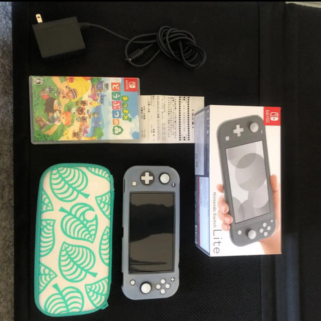 ニンテンドースイッチライト あつまれどうぶつの森 セット