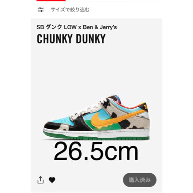 確実正規品　NIKE SB  dunk low CHUNKY DUNKY