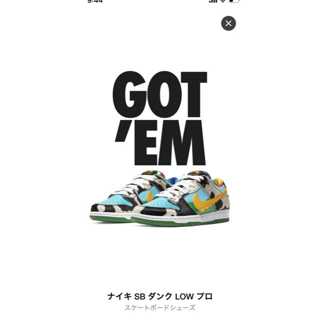 BEN & JERRY'S × NIKE SB DUNK LOW 26cm