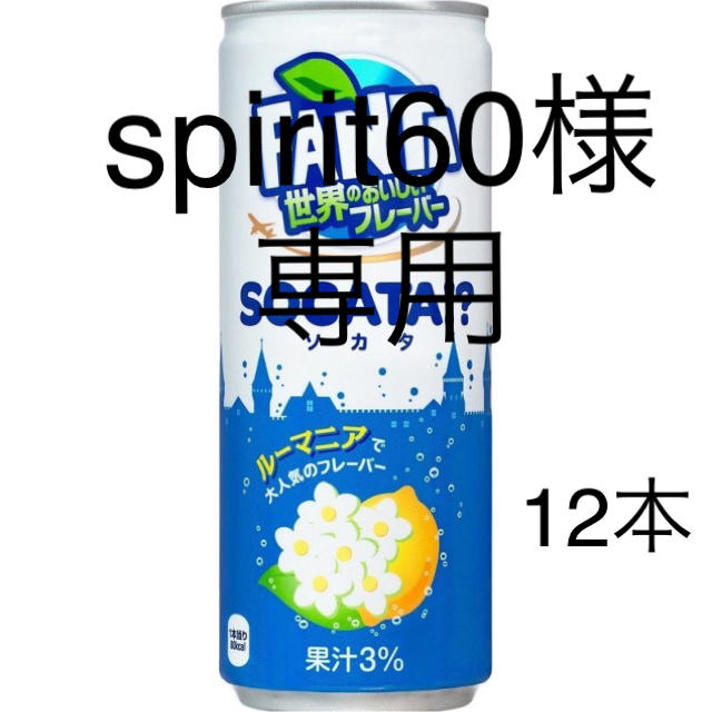 spirit60様　専用　ソカタ12本 食品/飲料/酒の飲料(ソフトドリンク)の商品写真