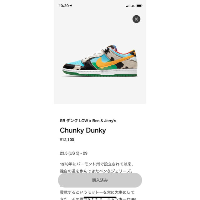 Ben & Jerry’s×Nike SB Dunk Low 26cm