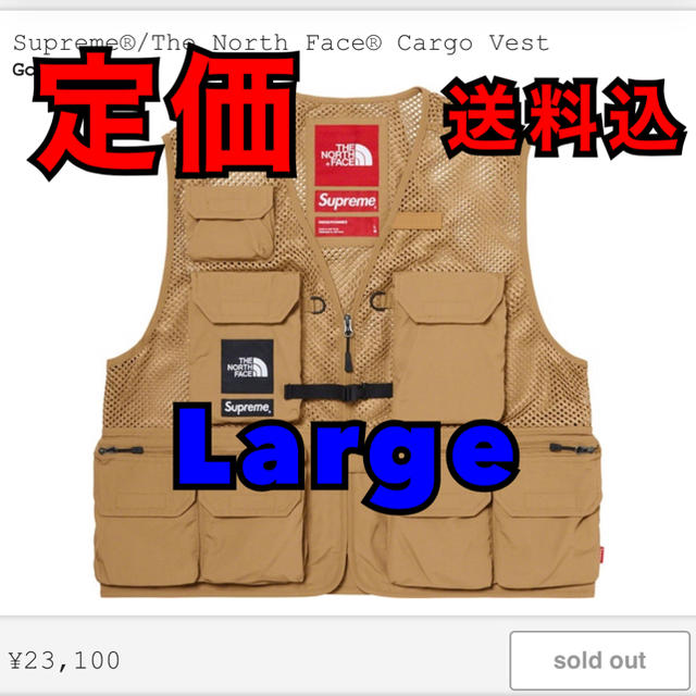 メンズSupreme The North Face Cargo vest