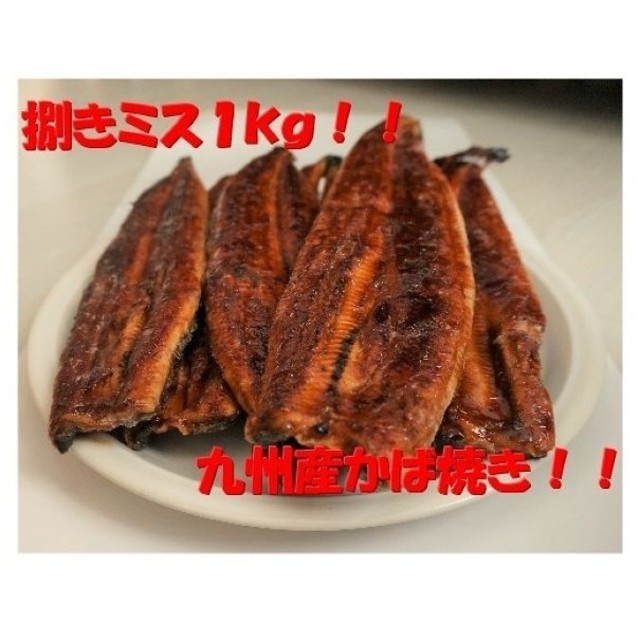 九州産うなぎ蒲焼１㎏（捌きミス・冷凍便）魚介