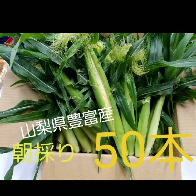 🌽送料税込2000円🌽甘くて美味しいヤングコーン🌽 食品/飲料/酒の食品(野菜)の商品写真