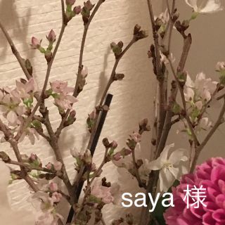 エルベシャプリエ(Herve Chapelier)のsaya 様＊トートバッグ (トートバッグ)