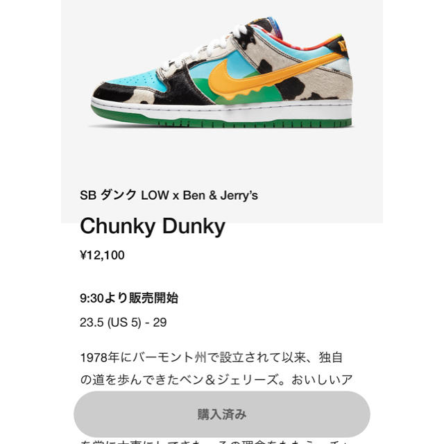 NIKE SB DUNK LOW "Chunky Dunky 28cm