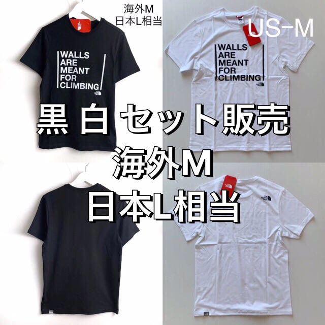 ノースフェイス Tシャツ 半袖 Walls Tee 白 黒 セット