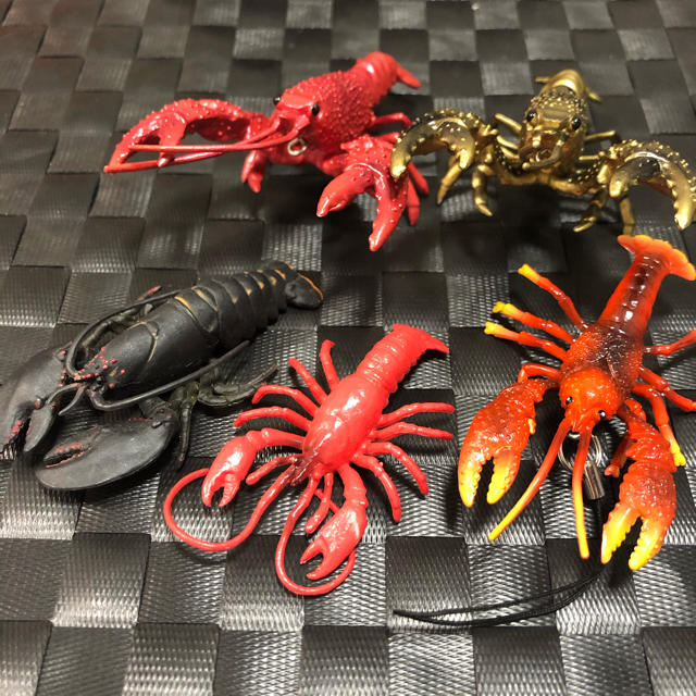 エビ ザリガニ 甲殻類 のフィギュア 5点セットの通販 By けだま S Shop ラクマ エビ ザリガニ 甲殻類 のフィギュア 5点セットの通販 By けだま S Shop ラクマ