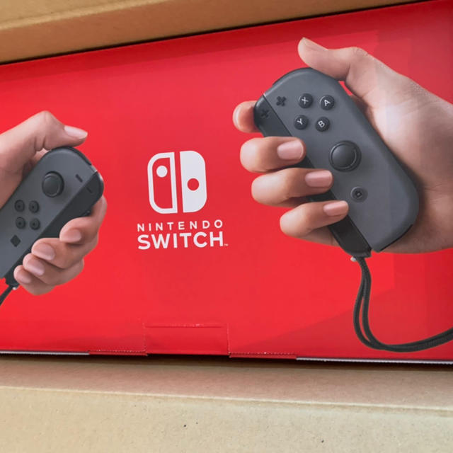 Nintendo switch グレー