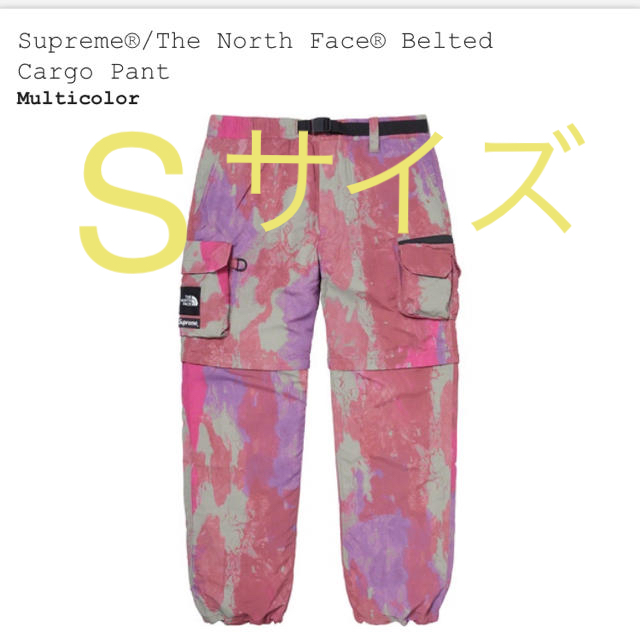 Supreme The North Face belted Cargo pant