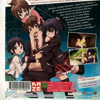 フランス語字幕 中二病でも恋がしたい 全12話 Ova Lite 輸入版の通販 By 蓮華会 ラクマ