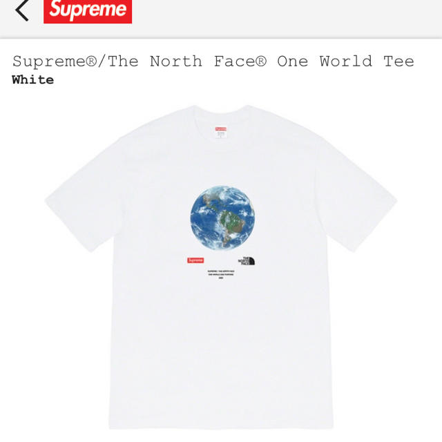 【送料込】Mサイズ Supreme/The North Face T-Shirt