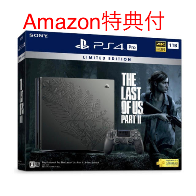 PS4 Pro The Last of Us Part II