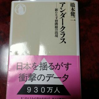 アンダークラス 新たな下層階級の出現(文学/小説)