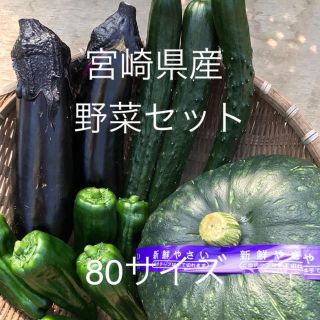 宮崎県産 野菜セット(野菜)