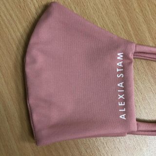 アリシアスタン(ALEXIA STAM)のALEXIASTAM  アリシアスタン　新品(水着)