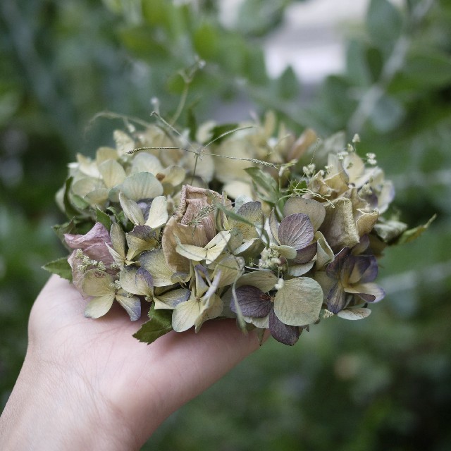 初夏❁ラベンダー薫る輸入紫陽花リース。ドライフラワーリース。紫陽花リース