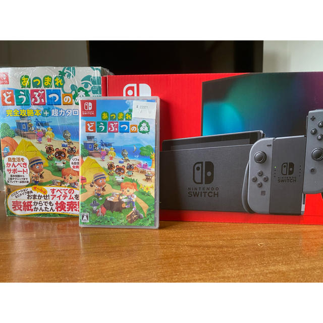 Nintendo Switch グレー 本体 あつまれどうぶつの森 攻略本セット