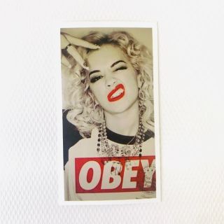 オベイ(OBEY)のOBEY  ステッカー　ストリート　防水(ステッカー)