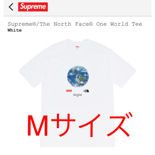 Mサイズ supreme north face one world teeTシャツ/カットソー(半袖/袖なし)