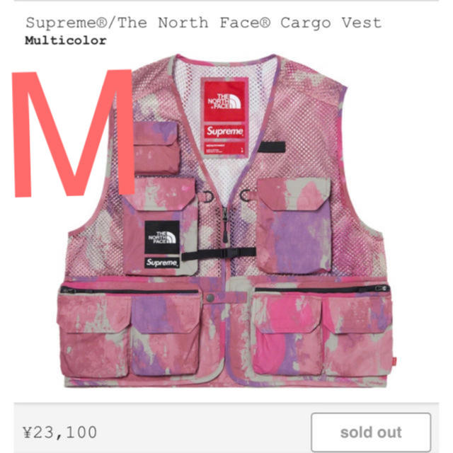 Supreme®/The North Face® Cargo Vest