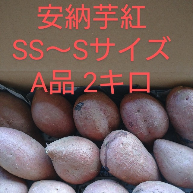 安納芋紅SS～Sサイズ2キロ 食品/飲料/酒の食品(野菜)の商品写真