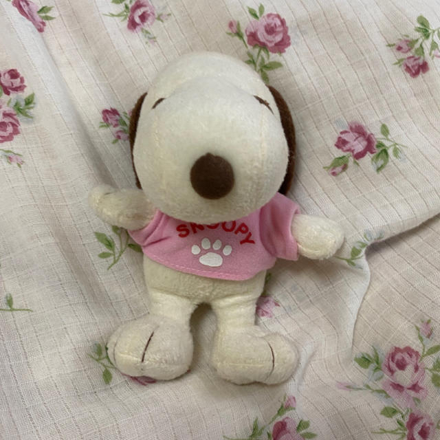 SNOOPY(スヌーピー)のSNOOPY スヌーピー ぬいぐるみ  エンタメ/ホビーのおもちゃ/ぬいぐるみ(ぬいぐるみ)の商品写真