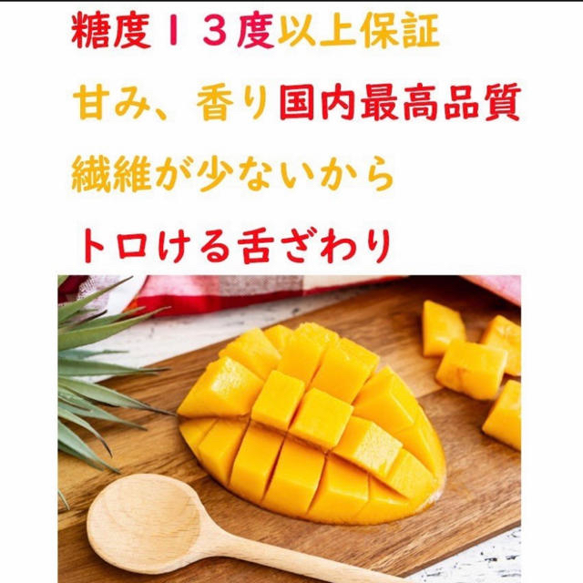 完熟マンゴー 宮崎産 日本一 3L 3玉 大玉 ギフト 市場直送 安い　化粧箱