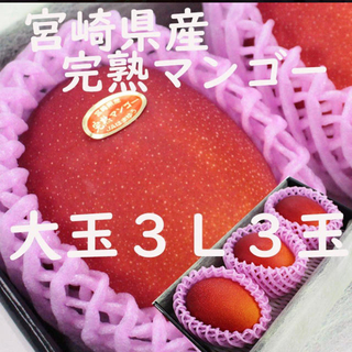 完熟マンゴー 宮崎産 日本一 3L 3玉 大玉 ギフト 市場直送 安い　化粧箱(フルーツ)
