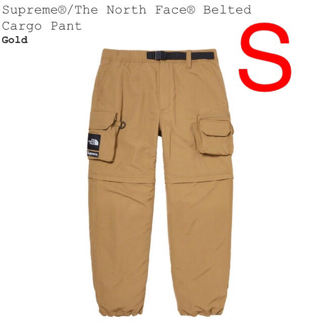 S Supreme North Face Belted Cargo Pant