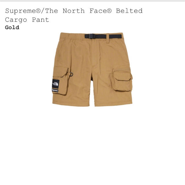 Supreme(シュプリーム)のSupreme North Face Belted Cargo Pant M メンズのパンツ(ワークパンツ/カーゴパンツ)の商品写真