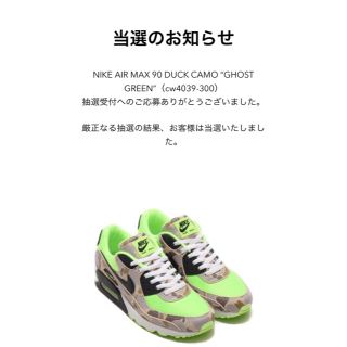 ナイキ(NIKE)のNIKE AIR MAX 90 グリーンカモ(スニーカー)