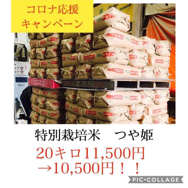 ひまひまらんど様専用✳︎宮城県産つや姫25キロ 食品/飲料/酒の食品(米/穀物)の商品写真