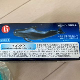 カイヨウドウ(海洋堂)のマゴンドウ　　グリコ　アクアテイルズ　(ノベルティグッズ)